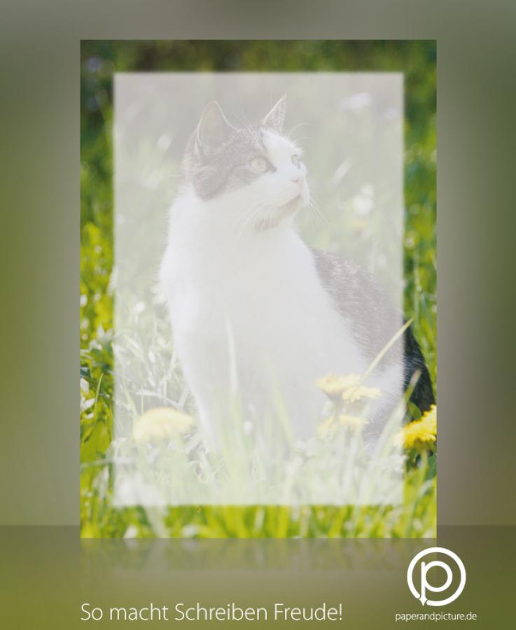 Motivpapier Katze im Gras Briefpapier mit Motiv